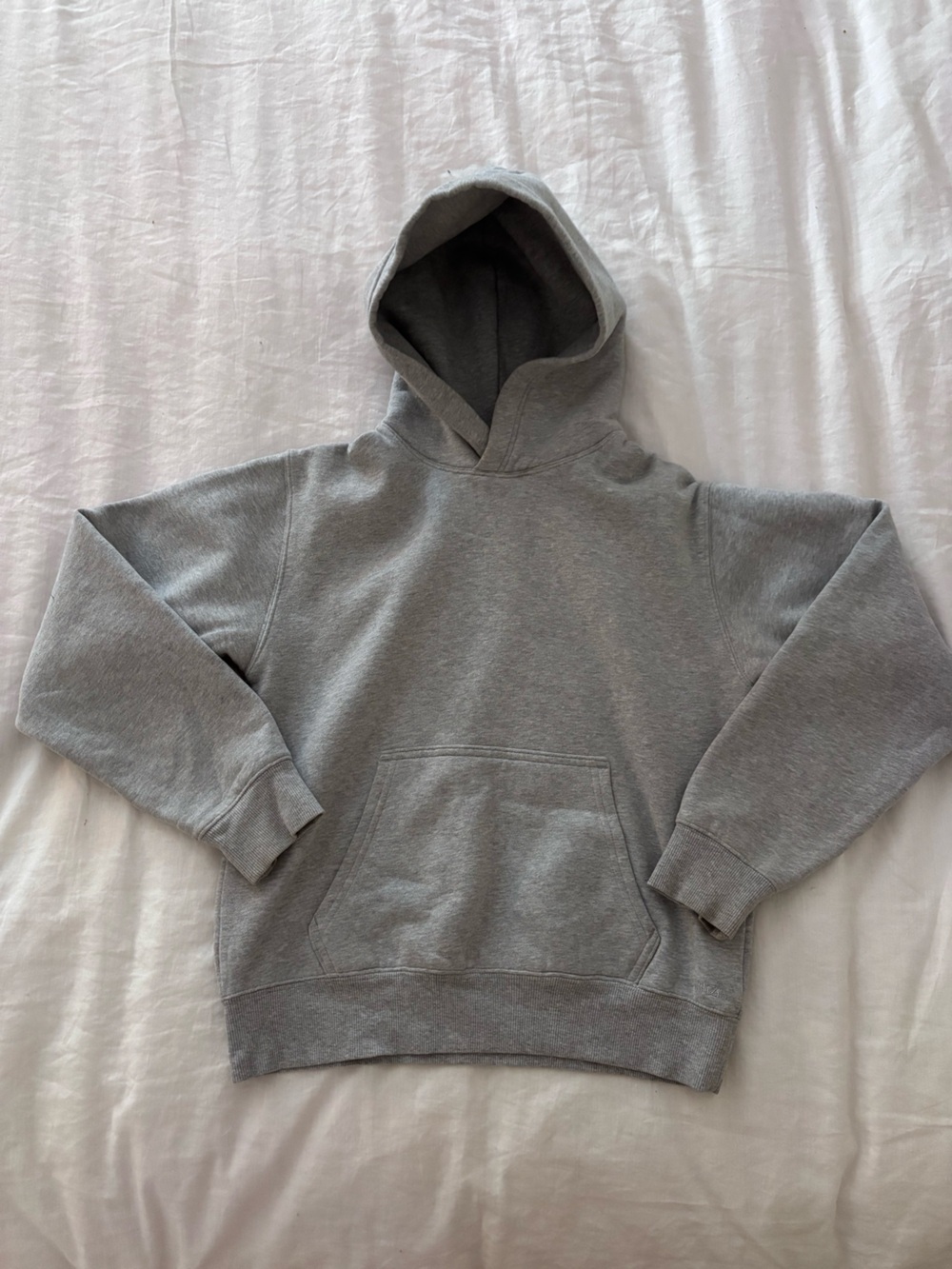 Aritzia Perfect cozy fleece hoodie